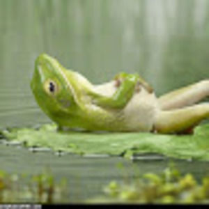 Meet your Posher, Cory